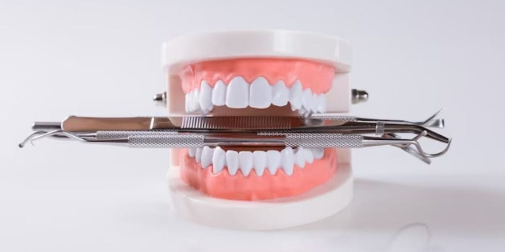 Artificialteeth service min - مطب دندانپزشکی استاجی